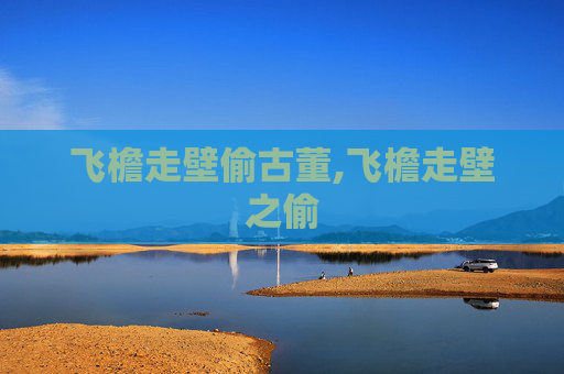 飞檐走壁偷古董,飞檐走壁之偷 飞檐走壁偷古董,飞檐走壁之偷