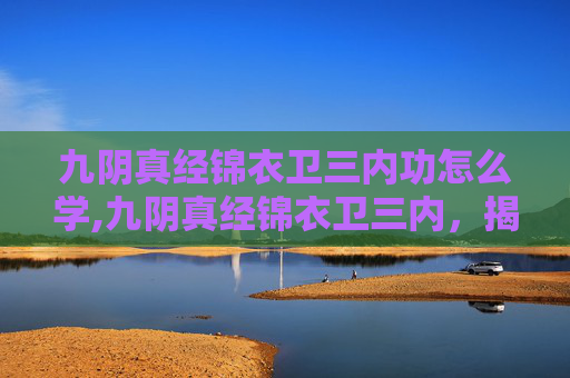 九阴真经锦衣卫三内功怎么学,九阴真经锦衣卫三内，揭秘武侠世界里的隐秘力量
