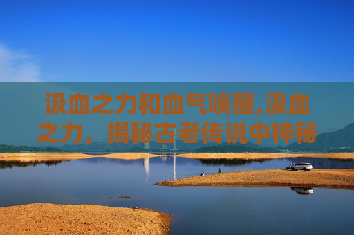 汲血之力和血气唤醒,汲血之力，揭秘古老传说中神秘力量的真相
