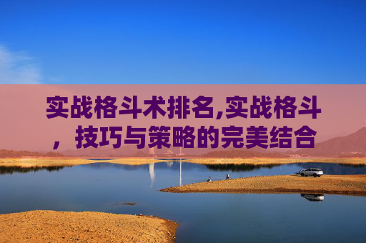 实战格斗术排名,实战格斗，技巧与策略的完美结合