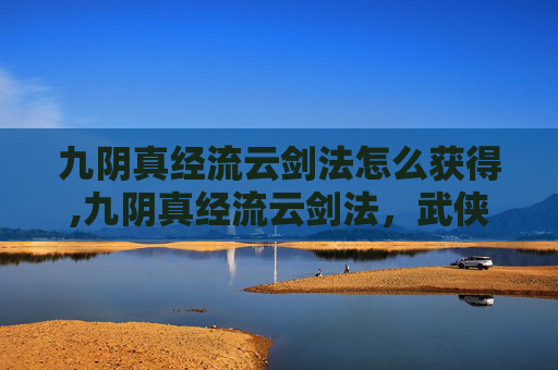 九阴真经流云剑法怎么获得,九阴真经流云剑法，武侠世界中的绝学