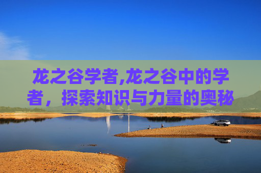 龙之谷学者,龙之谷中的学者，探索知识与力量的奥秘