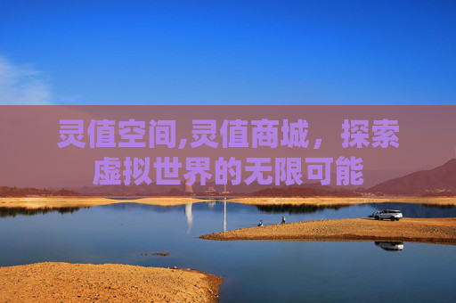 灵值空间,灵值商城，探索虚拟世界的无限可能