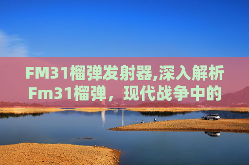 FM31榴弹发射器,深入解析Fm31榴弹，现代战争中的多功能弹药