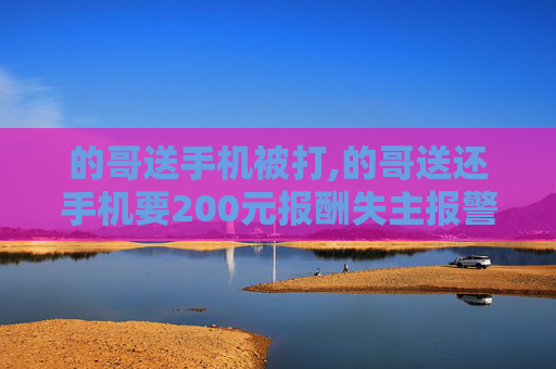 的哥送手机被打,的哥送还手机要200元报酬失主报警