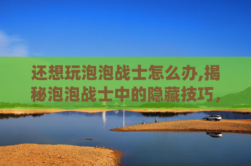 还想玩泡泡战士怎么办,揭秘泡泡战士中的隐藏技巧，如何成为游戏中的bug大师