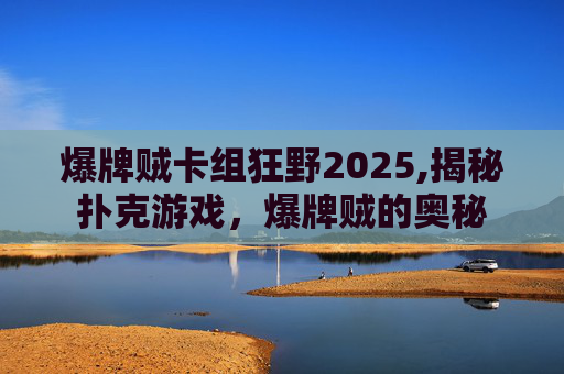 爆牌贼卡组狂野2025,揭秘扑克游戏，爆牌贼的奥秘