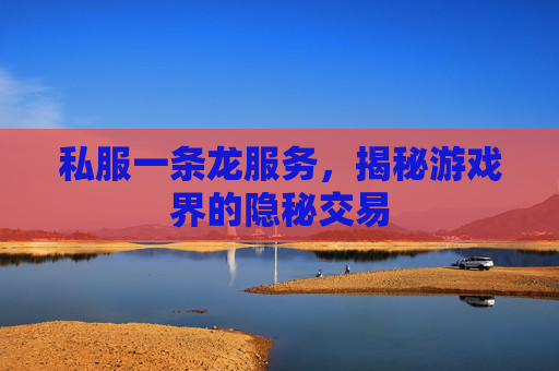 私服一条龙服务，揭秘游戏界的隐秘交易