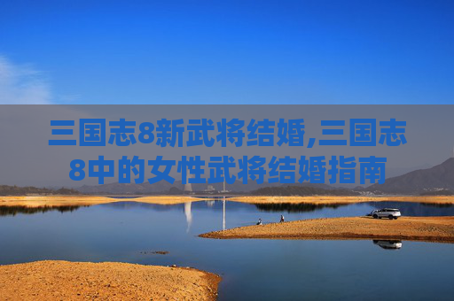 三国志8新武将结婚,三国志8中的女性武将结婚指南