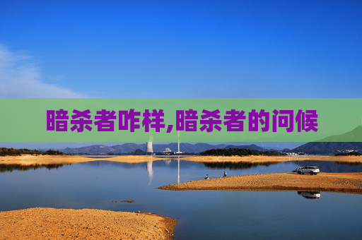 暗杀者咋样,暗杀者的问候