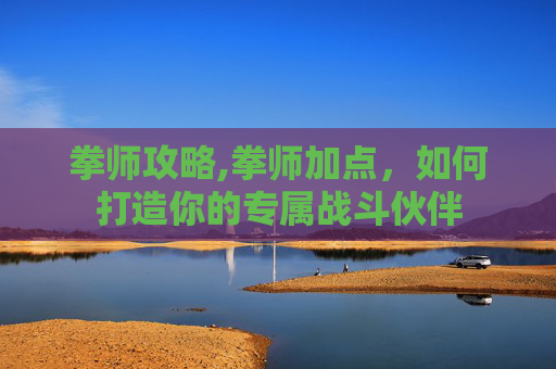 拳师攻略,拳师加点，如何打造你的专属战斗伙伴