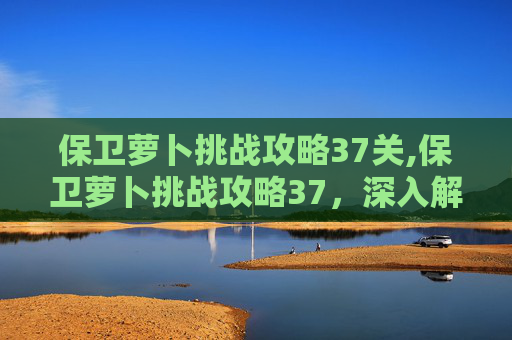 保卫萝卜挑战攻略37关,保卫萝卜挑战攻略37,深入解析与实战技巧 保卫萝卜挑战攻略37关,保卫萝卜挑战攻略37,深入解析与实战技巧