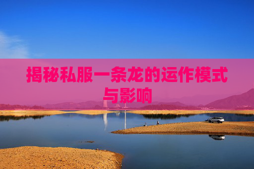 揭秘私服一条龙的运作模式与影响
