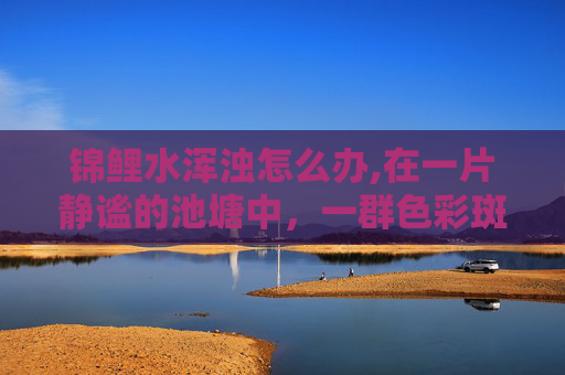 锦鲤水浑浊怎么办,在一片静谧的池塘中，一群色彩斑斓的锦鲤悠然自得地游弋着。它们或跃出水面，激起层层涟漪；或潜入水底，与周围的环境融为一体。这片水域，对于这些锦鲤来说，就如同它们的家一般，充满了温暖和安全感