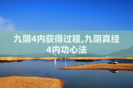 九阴4内获得过程,九阴真经4内功心法