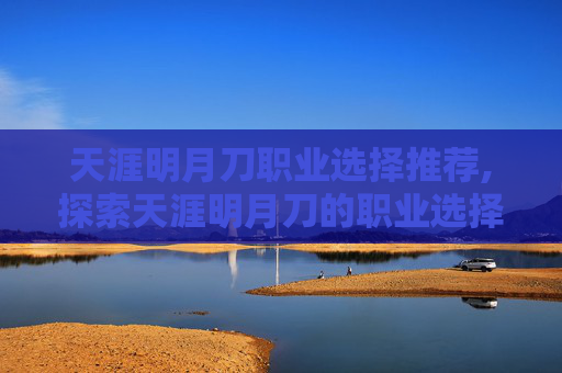 天涯明月刀职业选择推荐,探索天涯明月刀的职业选择，剑侠、医师与武者