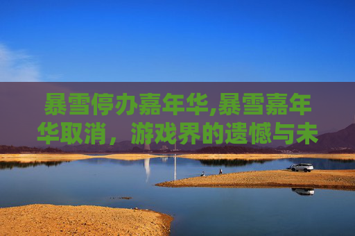 暴雪停办嘉年华,暴雪嘉年华取消，游戏界的遗憾与未来展望