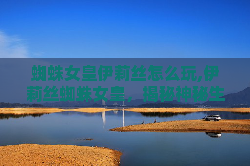 蜘蛛女皇伊莉丝怎么玩,伊莉丝蜘蛛女皇，揭秘神秘生物的传奇故事