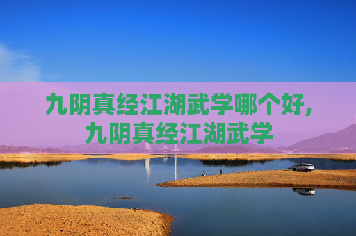 九阴真经江湖武学哪个好,九阴真经江湖武学
