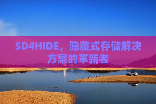 SD4HIDE，隐藏式存储解决方案的革新者