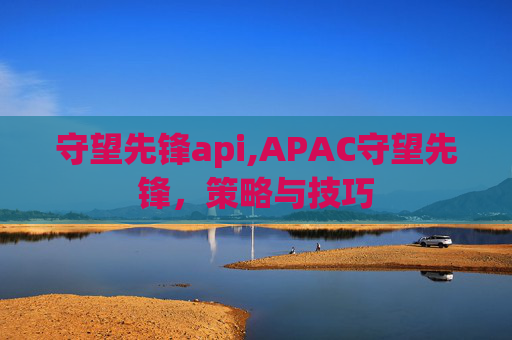 守望先锋api,APAC守望先锋，策略与技巧