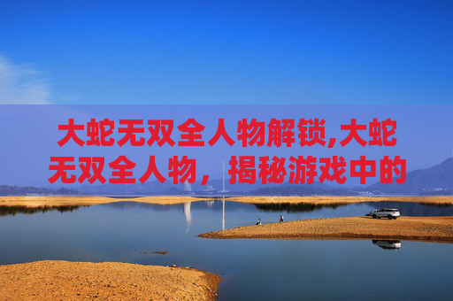 大蛇无双全人物解锁,大蛇无双全人物,揭秘游戏中的传奇英雄
