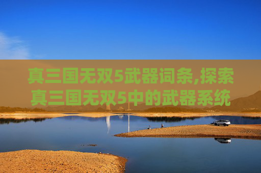 真三国无双5武器词条,探索真三国无双5中的武器系统，从基础到进阶