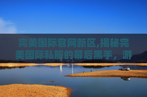 完美国际官网新区,揭秘完美国际私服的幕后黑手，游戏世界的非法交易与法律边界
