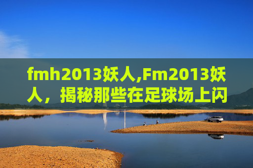fmh2013妖人,Fm2013妖人，揭秘那些在足球场上闪耀的神秘力量