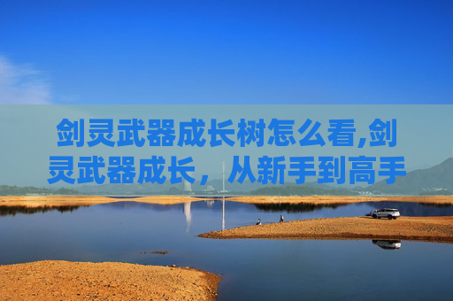 剑灵武器成长树怎么看,剑灵武器成长，从新手到高手的必经之路