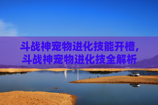 斗战神宠物进化技能开槽,斗战神宠物进化技全解析