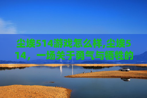 尘埃514游戏怎么样,尘埃514，一场关于勇气与牺牲的史诗之旅