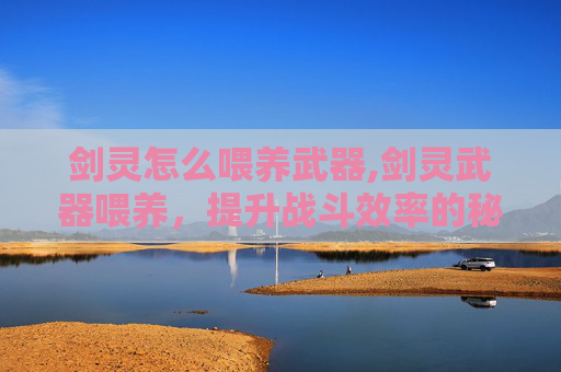 剑灵怎么喂养武器,剑灵武器喂养，提升战斗效率的秘诀
