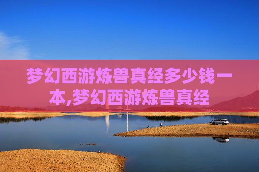 梦幻西游炼兽真经多少钱一本,梦幻西游炼兽真经