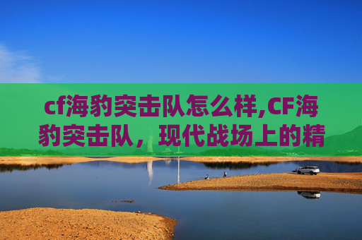 cf海豹突击队怎么样,CF海豹突击队，现代战场上的精英力量