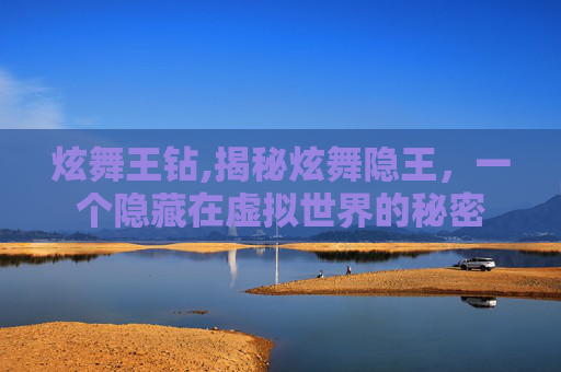 炫舞王钻,揭秘炫舞隐王，一个隐藏在虚拟世界的秘密