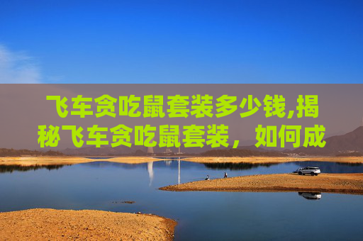 飞车贪吃鼠套装多少钱,揭秘飞车贪吃鼠套装，如何成为游戏中的速度与激情之王？