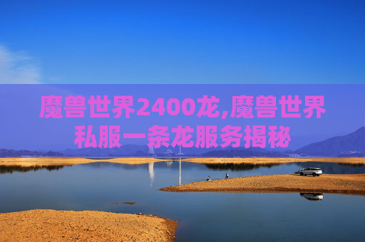 魔兽世界2400龙,魔兽世界私服一条龙服务揭秘