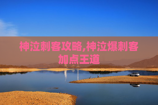 神泣刺客攻略,神泣爆刺客加点王道