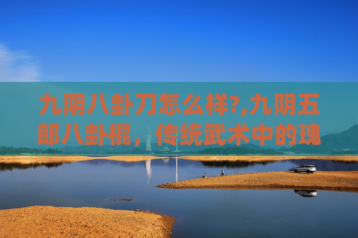 九阴八卦刀怎么样?,九阴五郎八卦棍，传统武术中的瑰宝