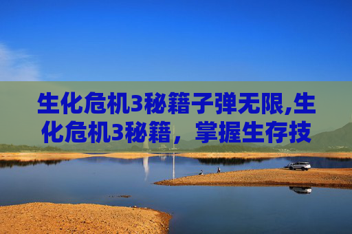 生化危机3秘籍子弹无限,生化危机3秘籍,掌握生存技巧,成为最后的幸存者