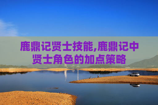 鹿鼎记贤士技能,鹿鼎记中贤士角色的加点策略