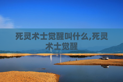 死灵术士觉醒叫什么,死灵术士觉醒