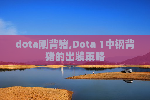 dota刚背猪,Dota 1中钢背猪的出装策略