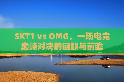 SKT1 vs OMG，一场电竞巅峰对决的回顾与前瞻