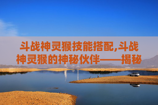 斗战神灵猴技能搭配,斗战神灵猴的神秘伙伴——揭秘其独特的宝宝选择