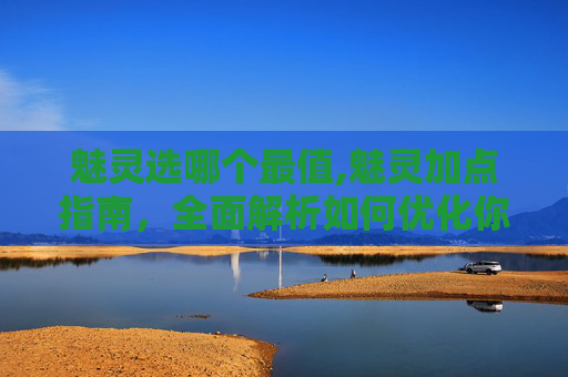 魅灵选哪个最值,魅灵加点指南，全面解析如何优化你的游戏角色