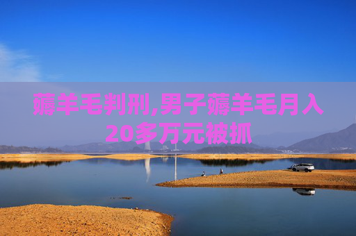 薅羊毛判刑,男子薅羊毛月入20多万元被抓