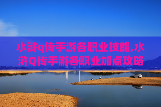 水浒q传手游各职业技能,水浒Q传手游各职业加点攻略