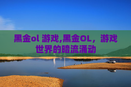 黑金ol 游戏,黑金OL，游戏世界的暗流涌动